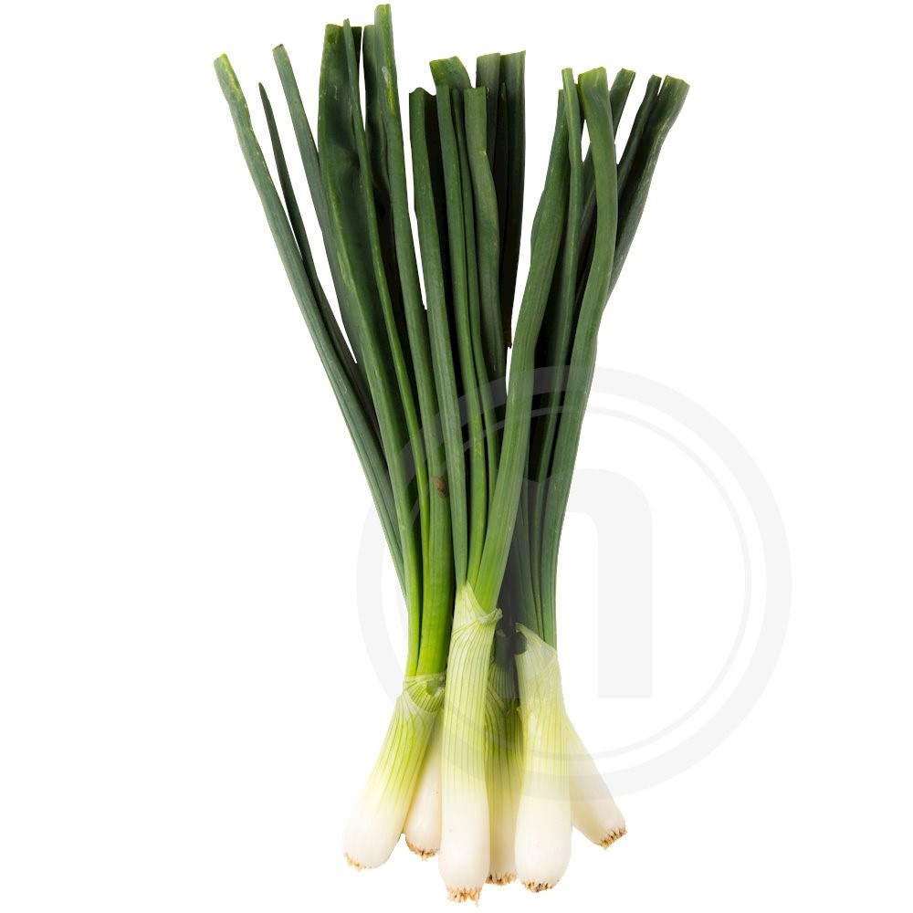 Forårsløg Økologisk 1 bdt.