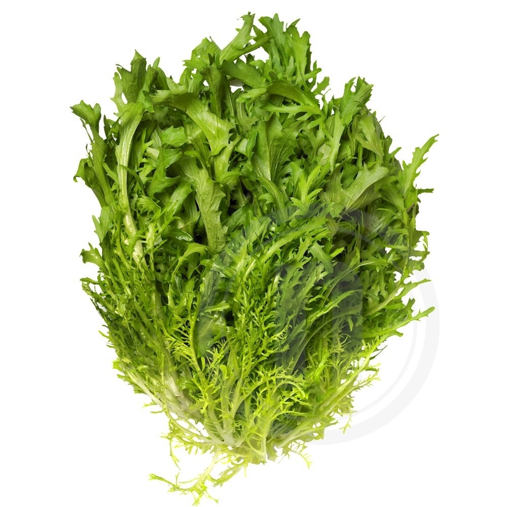 Frisée salat