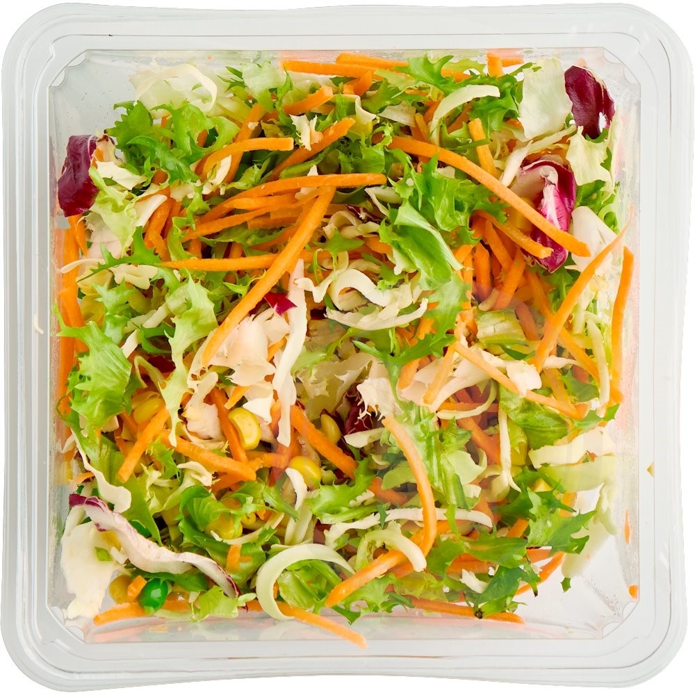 Sun Salat Grillsalat