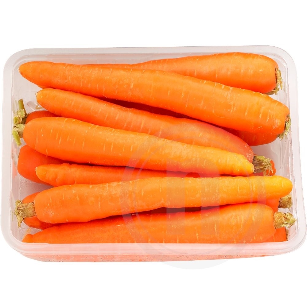 Gulerødder Lammefjorden