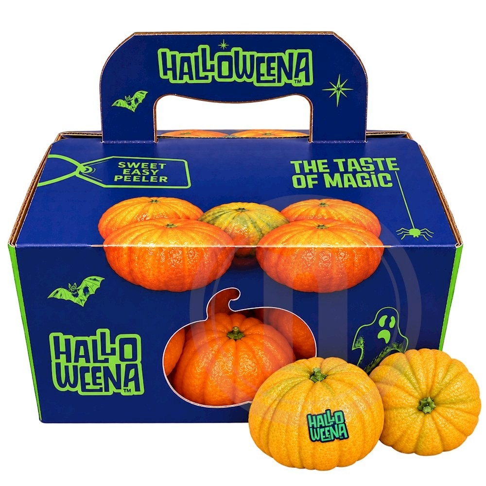Halloweena Clementiner
