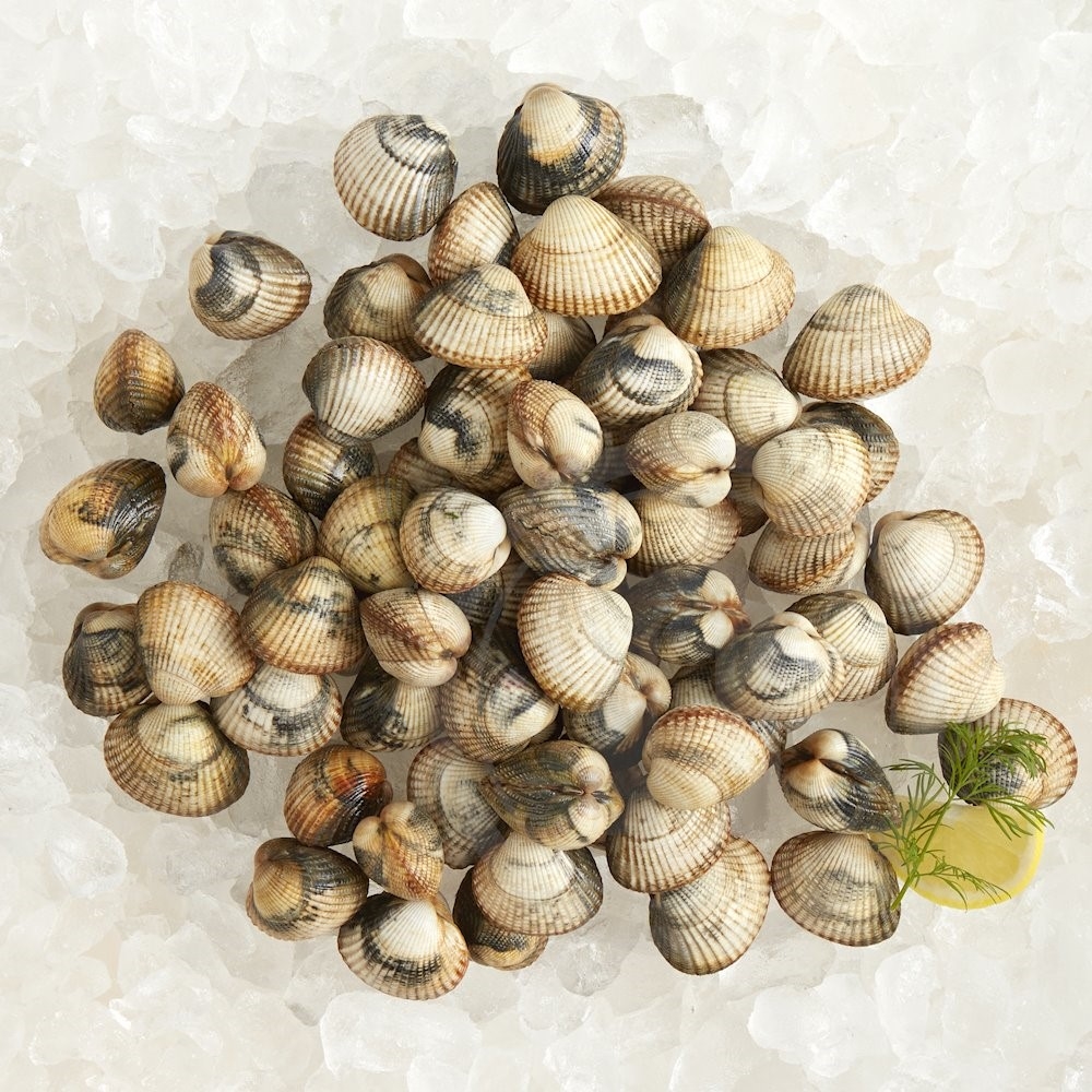Hjerte muslinger