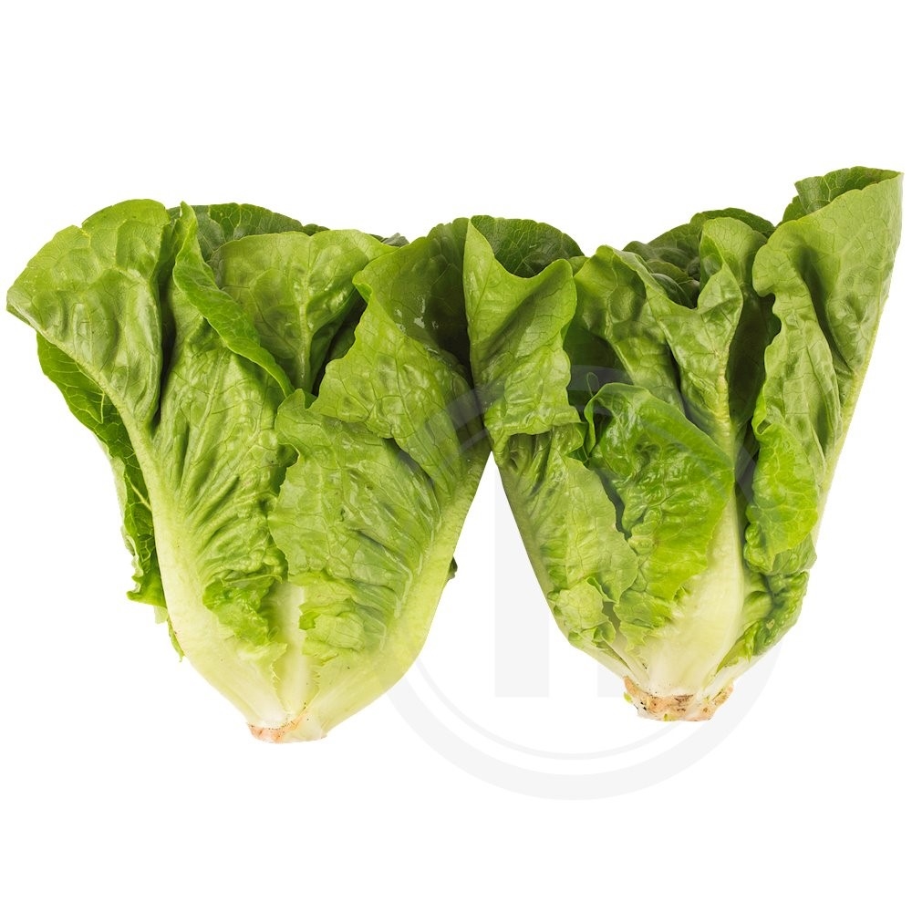 Ø-Grønt Hjertesalat øko.