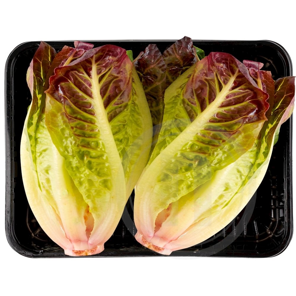 Hjertesalat Rød Øko.
