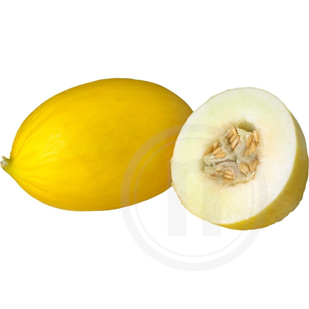 Honningmelon Øko