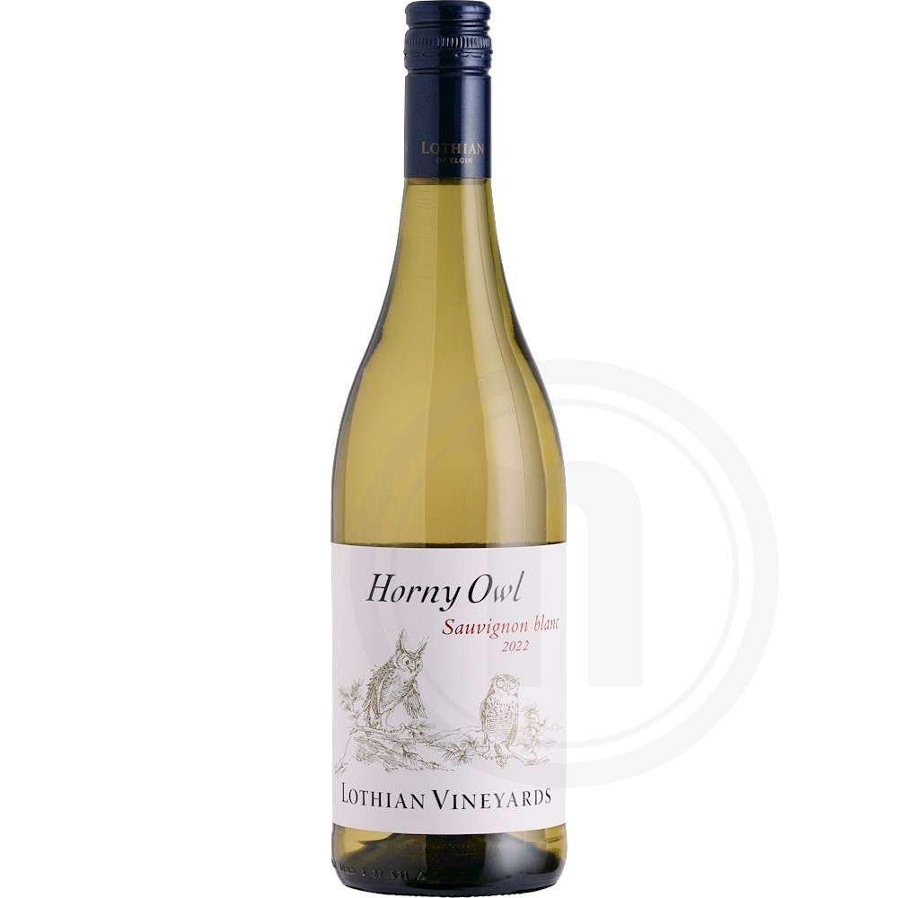 Horny Owl Sauvignon blanc