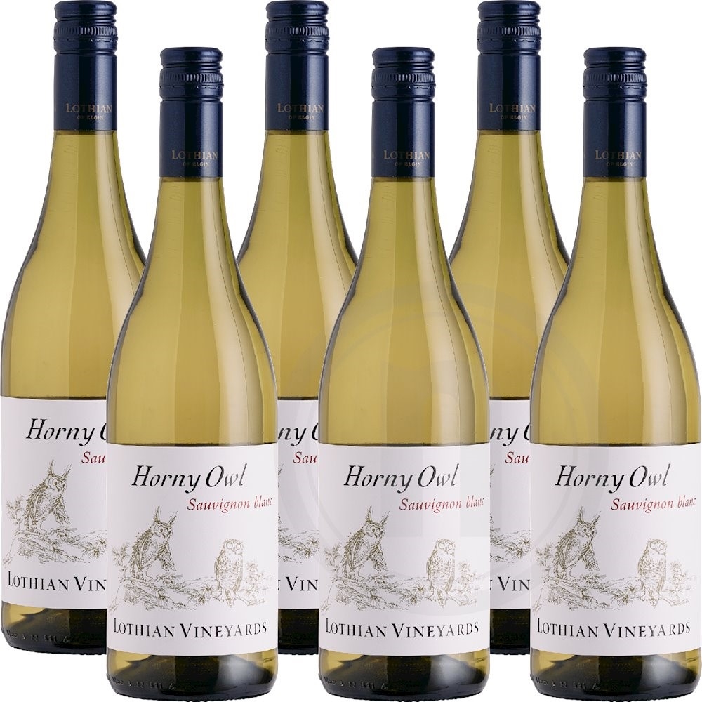 Horny Owl Sauvignon Blanc 2024