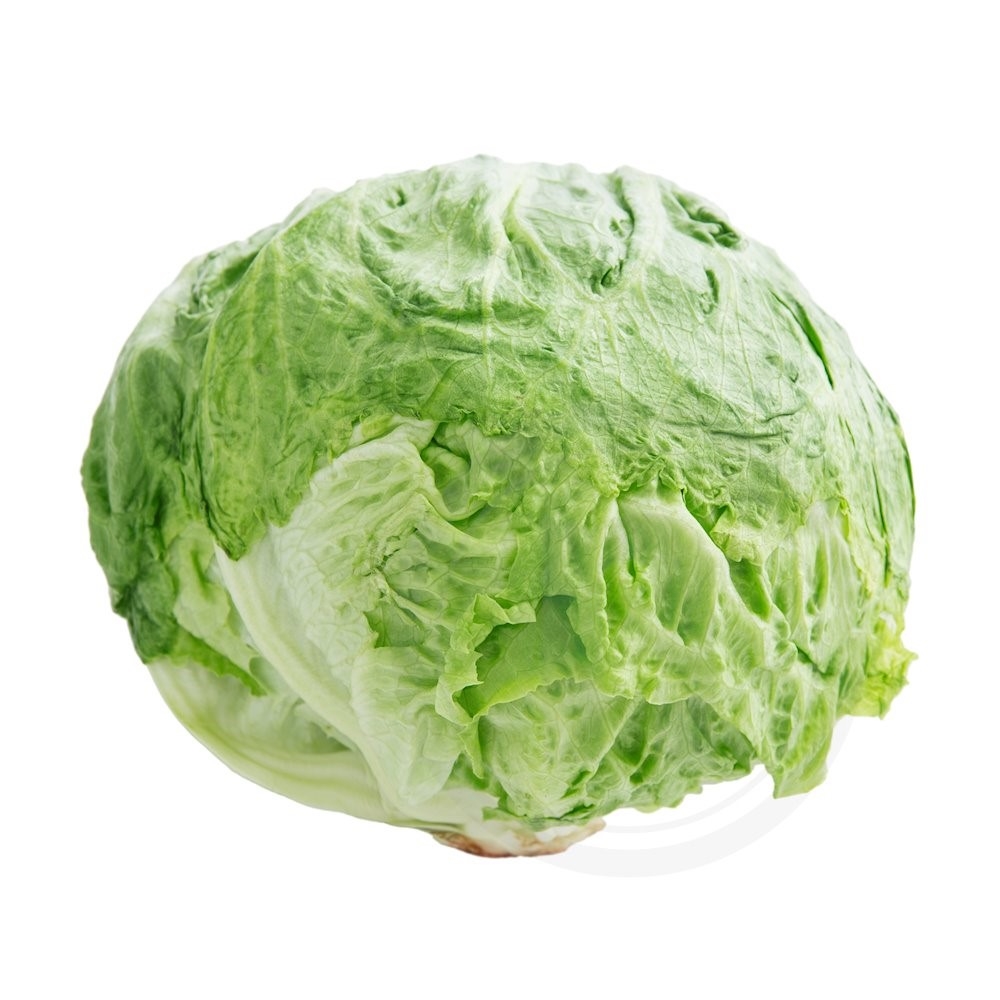 Iceberg Salat Øko.
