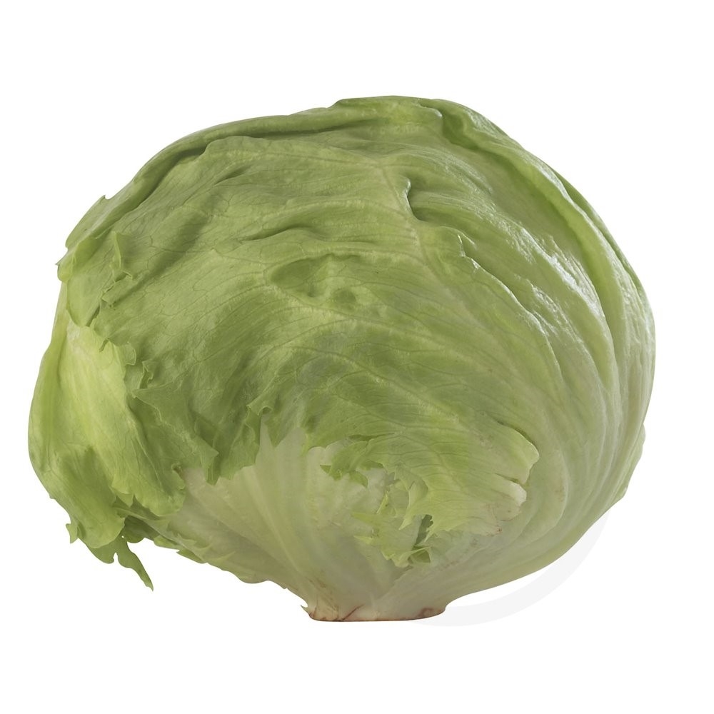 Iceberg salat