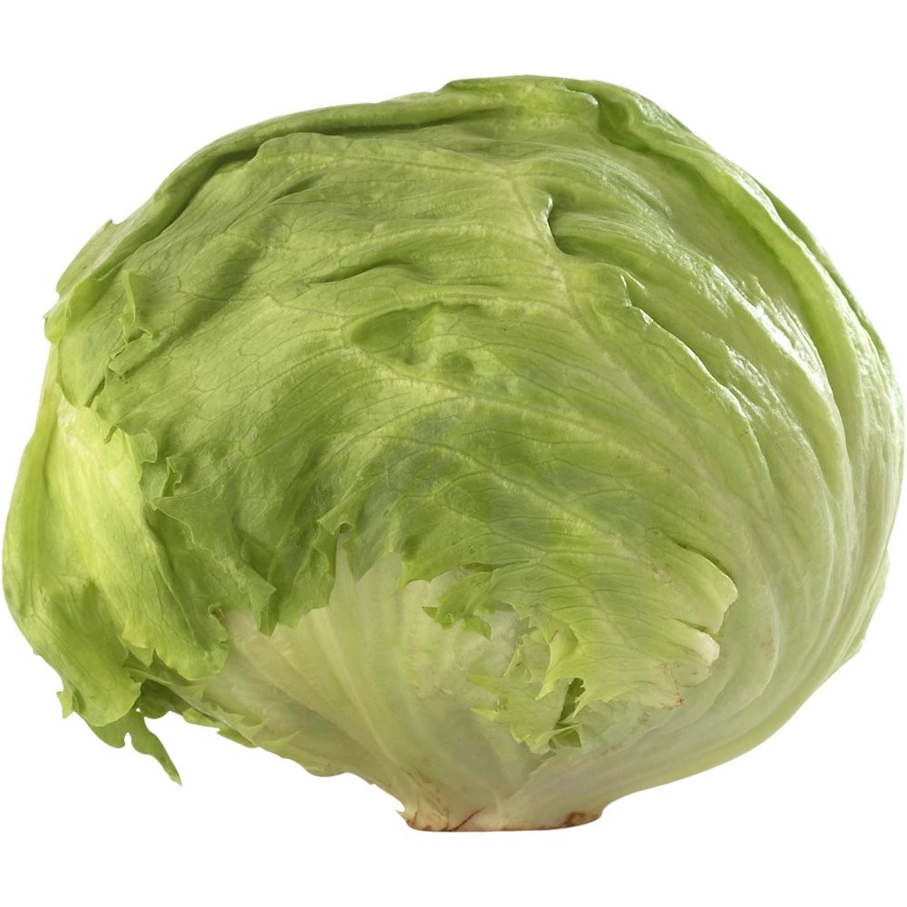 Iceberg salat