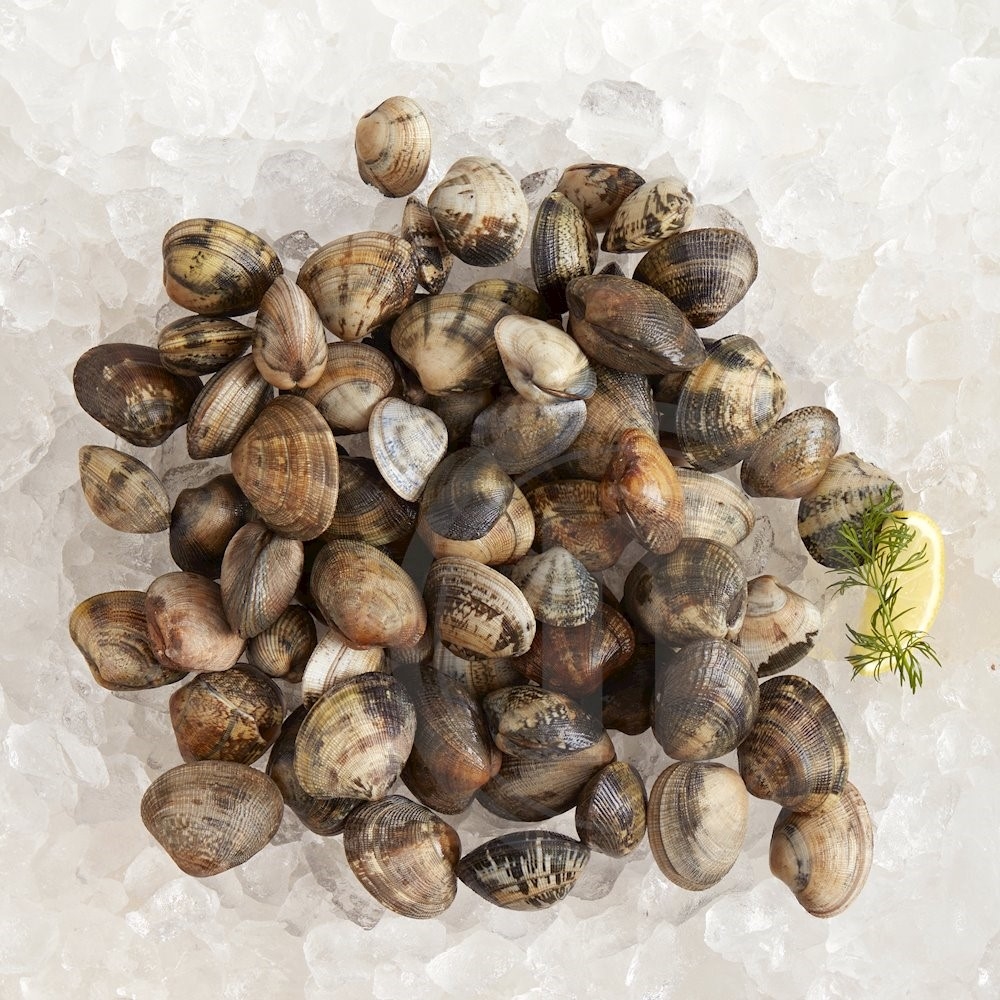 Poseidon Seafood Japanske tæppemuslinger