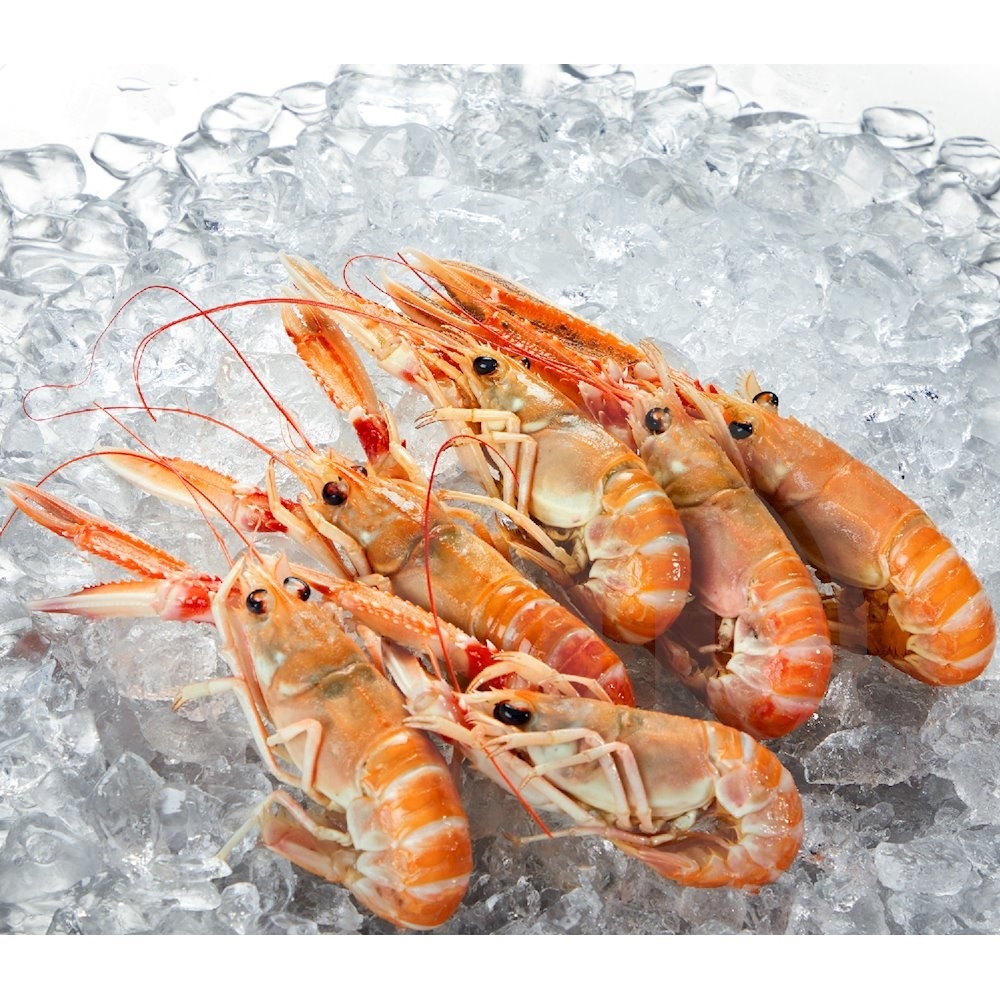 Poseidon Seafood Jomfruhummer hel