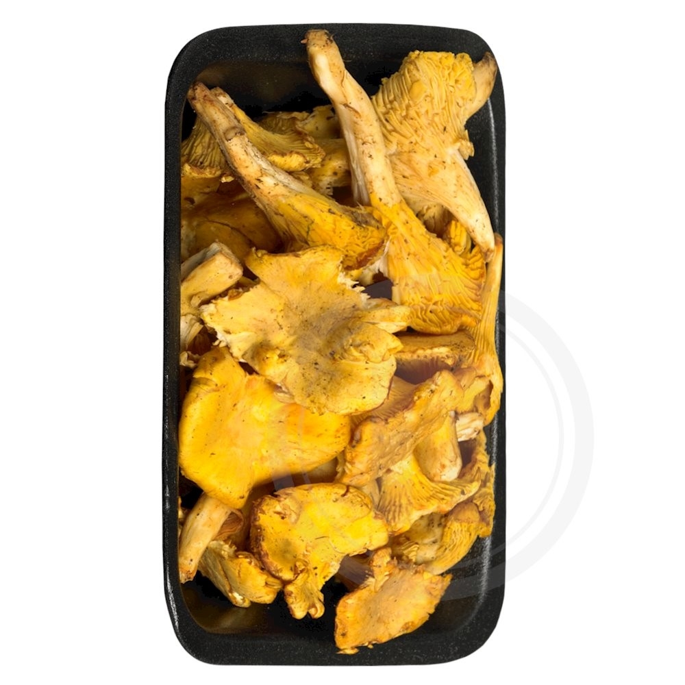 Kantareller