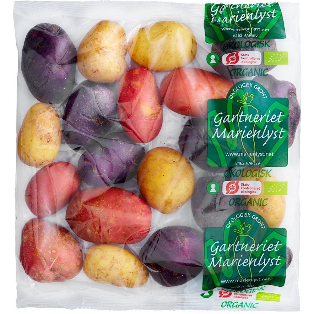Økologiske Kartofler Tricolore