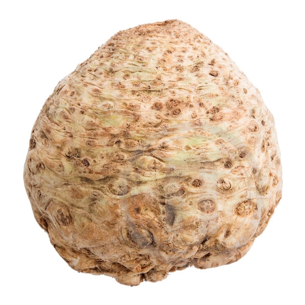 Knoldselleri økologisk