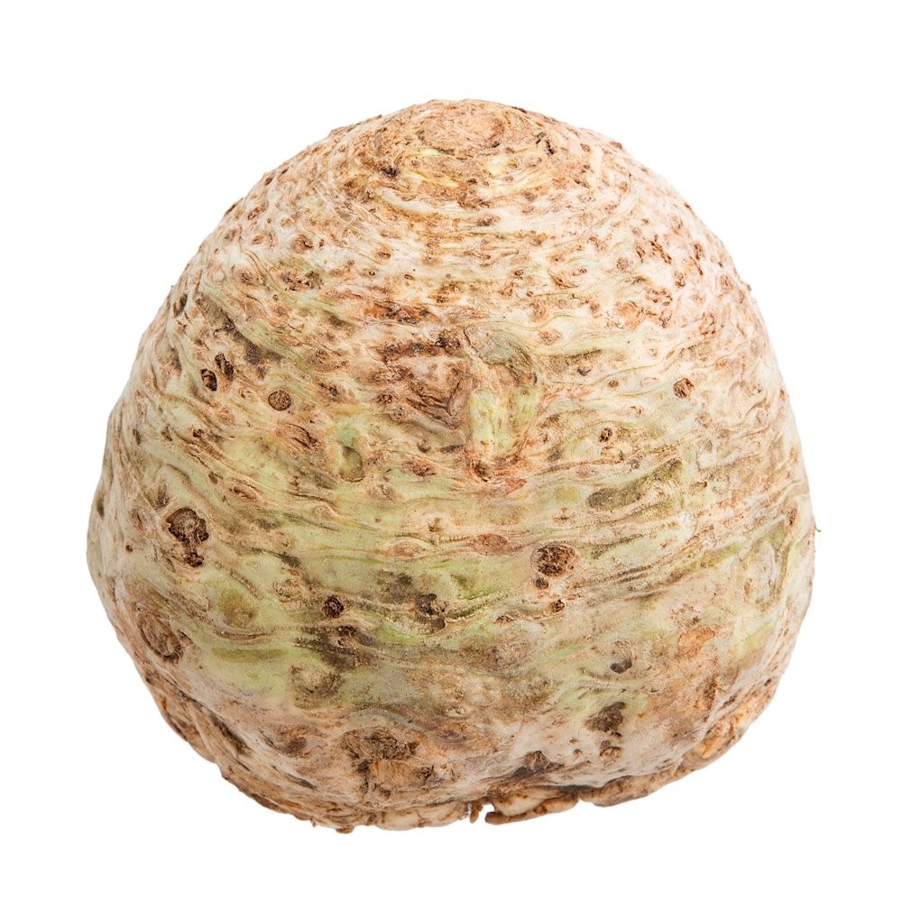 Knoldselleri uden top