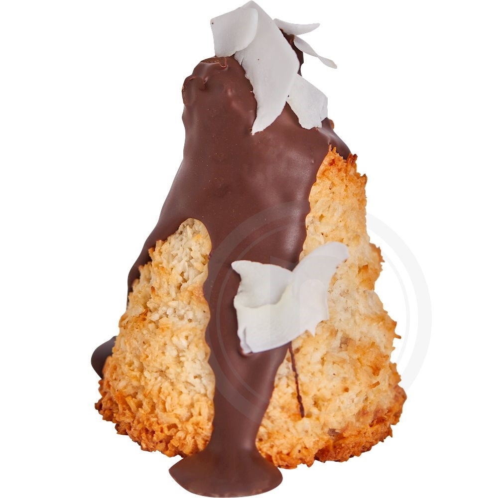 Kokostop m. chokolade øko.