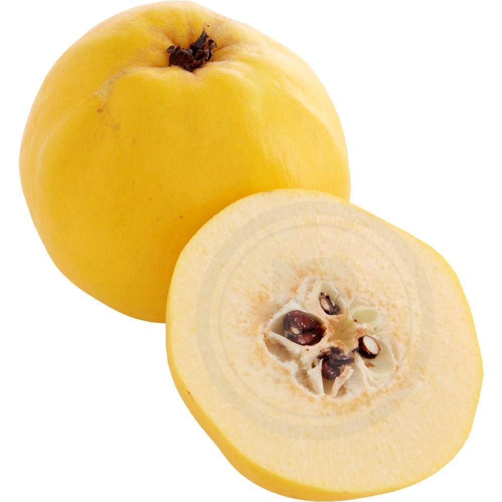 Kvæde
