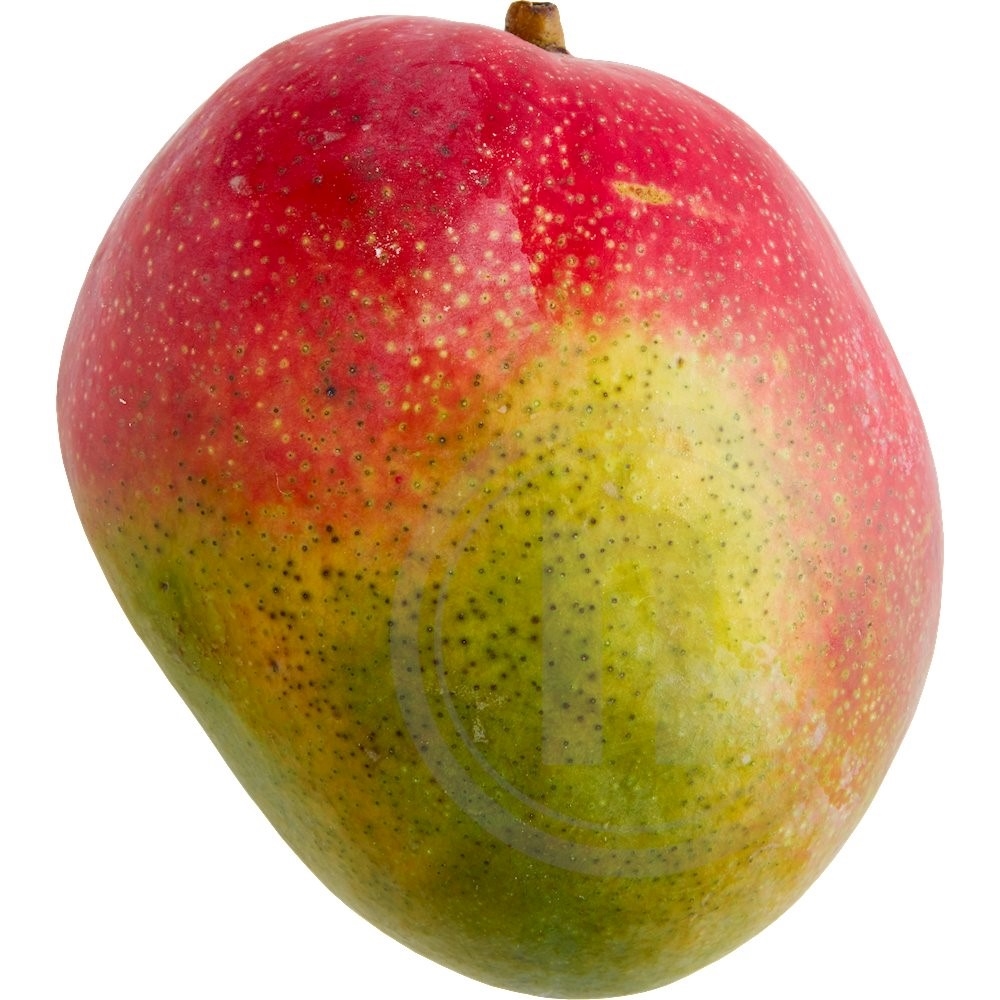 Mango økologisk