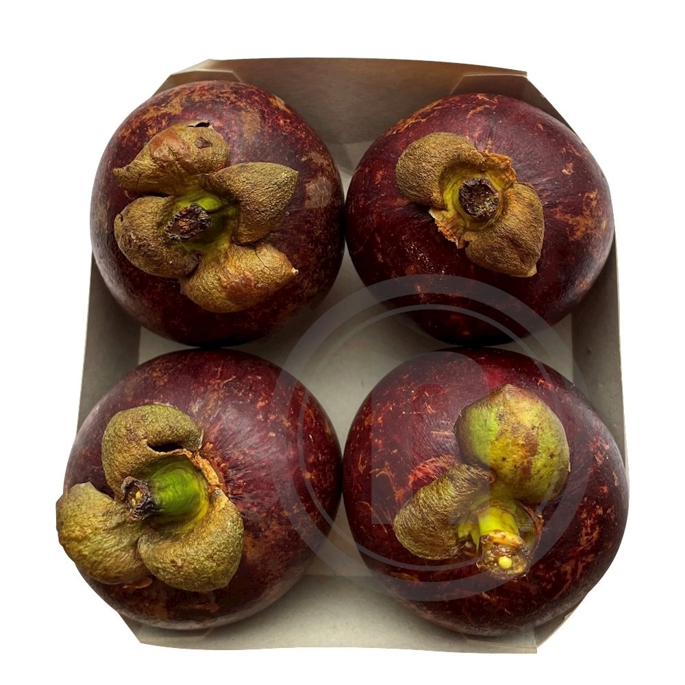 Mangosteen Økologisk