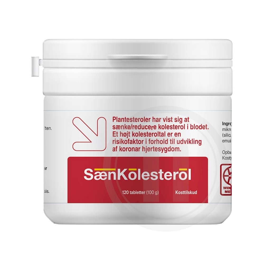 Minus Kolesterol