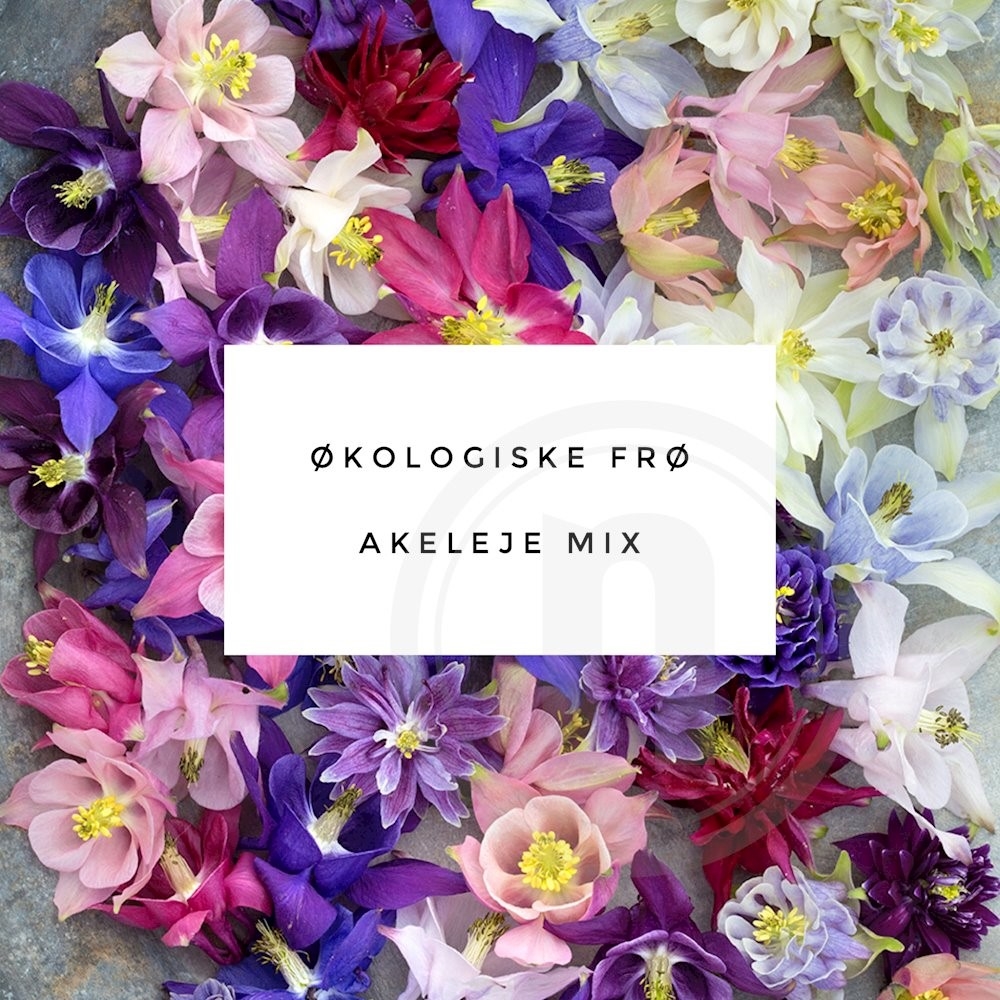 Økofrø Akeleje mix