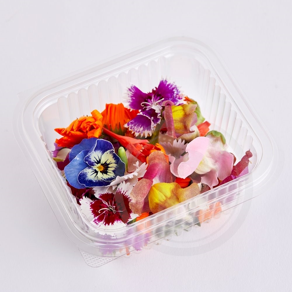 Økologisk Blomster mix