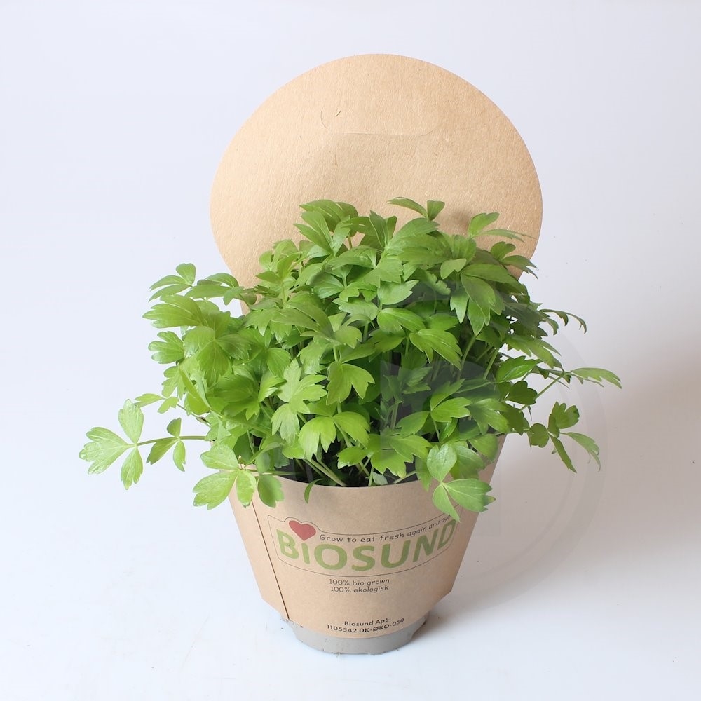 Biosund Økologisk Løvstikke