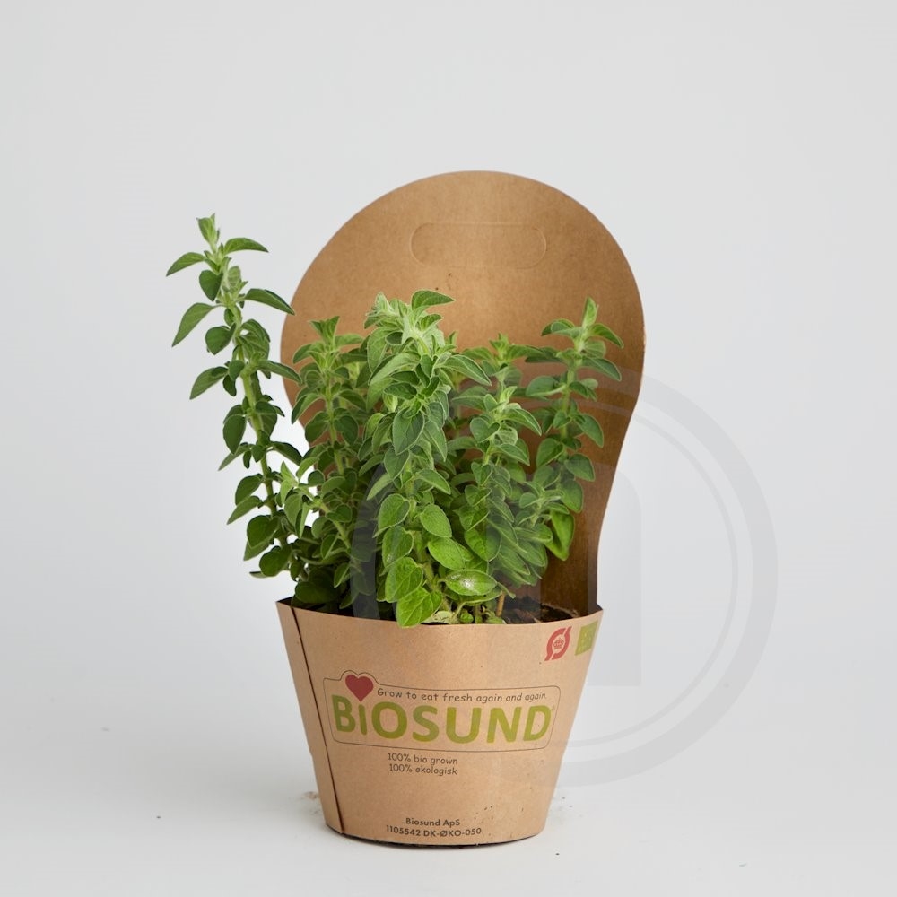 Biosund Økologisk Oregano