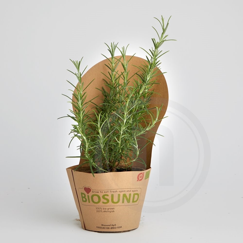 Biosund Økologisk Rosmarin