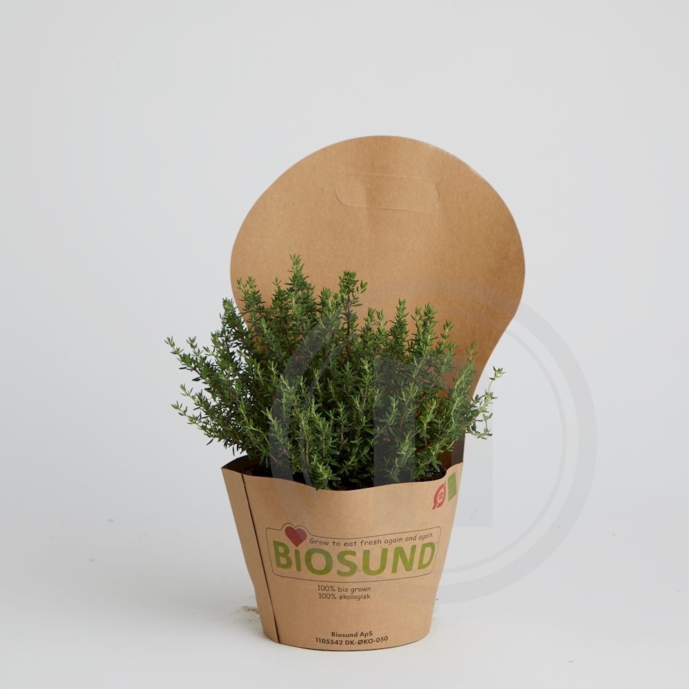 Biosund Økologisk Timian