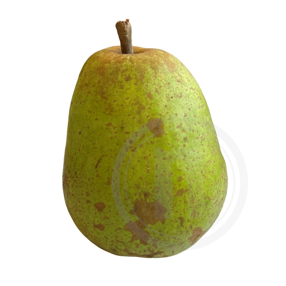 Pære Lucas stor