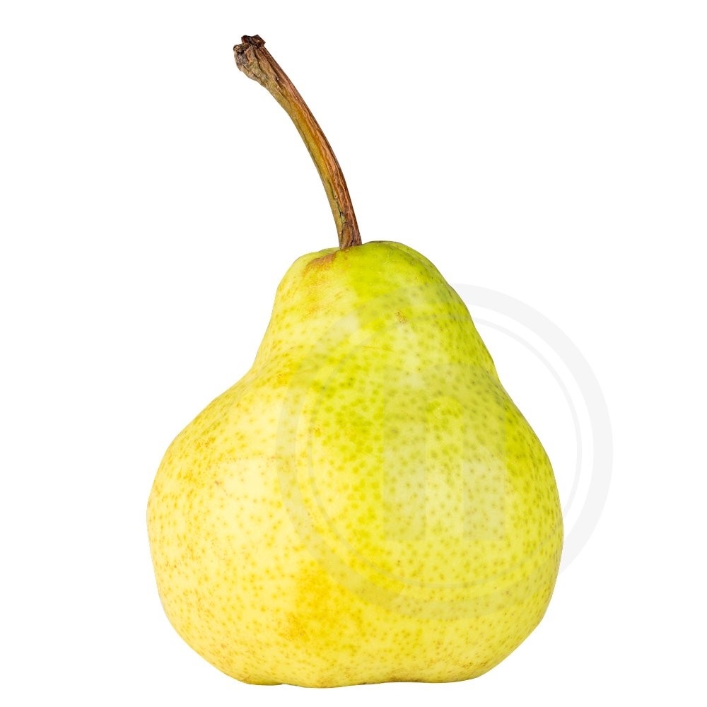 Pære Pachams øko.