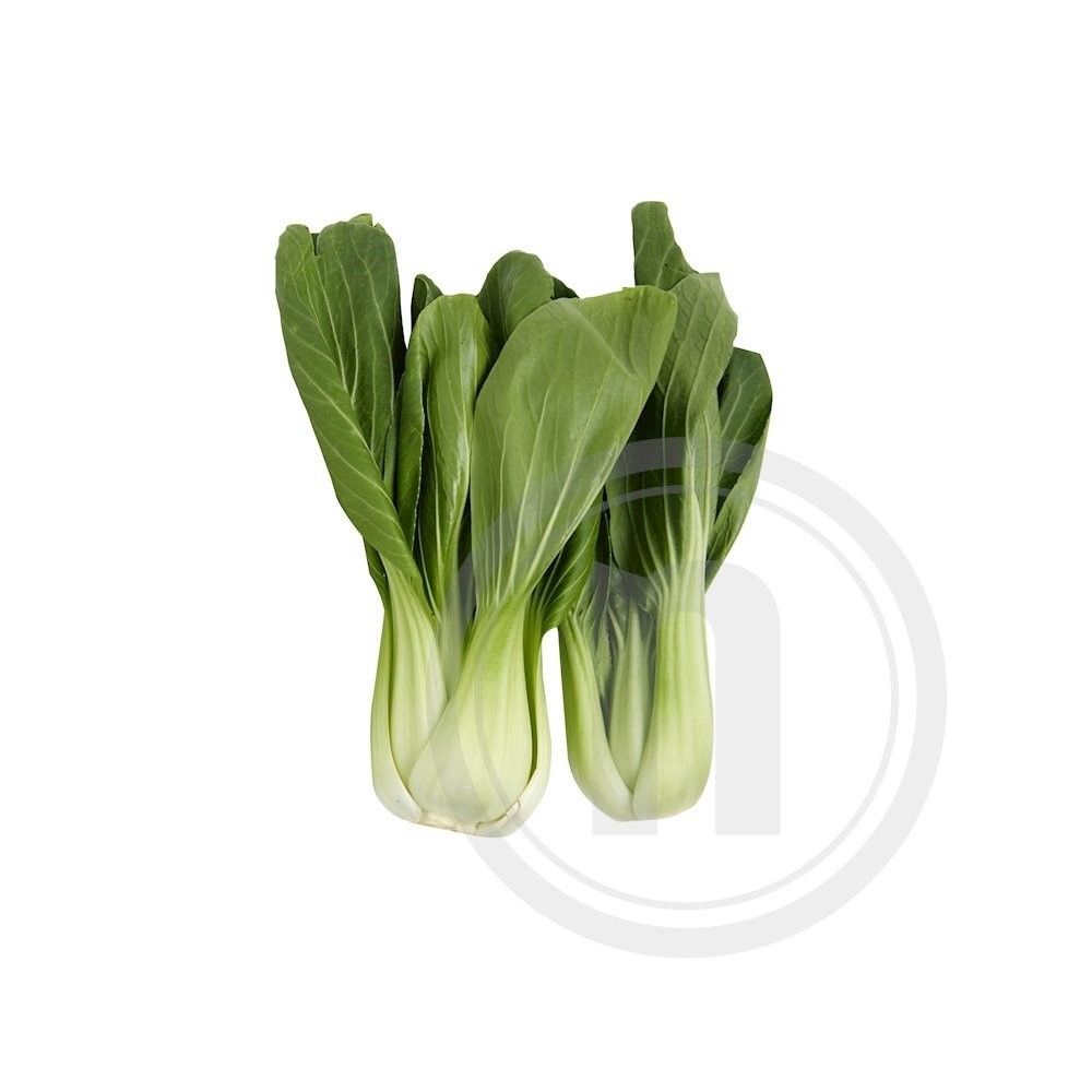 Pak Choi øko.