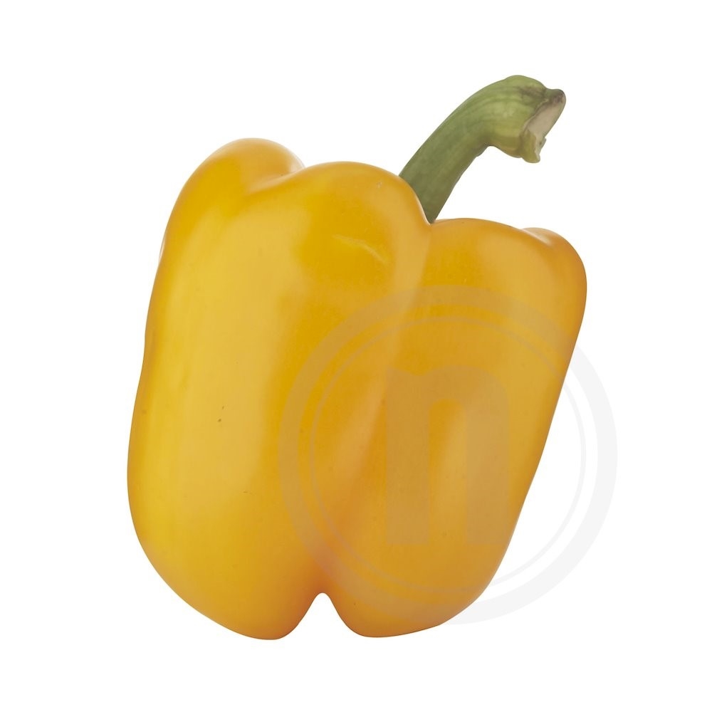 Peberfrugt gul øko.