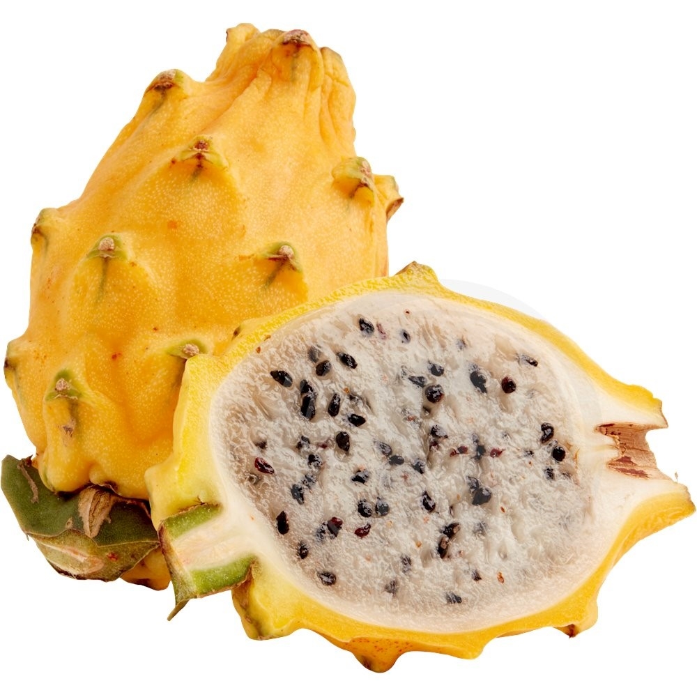 Pitahaya gul
