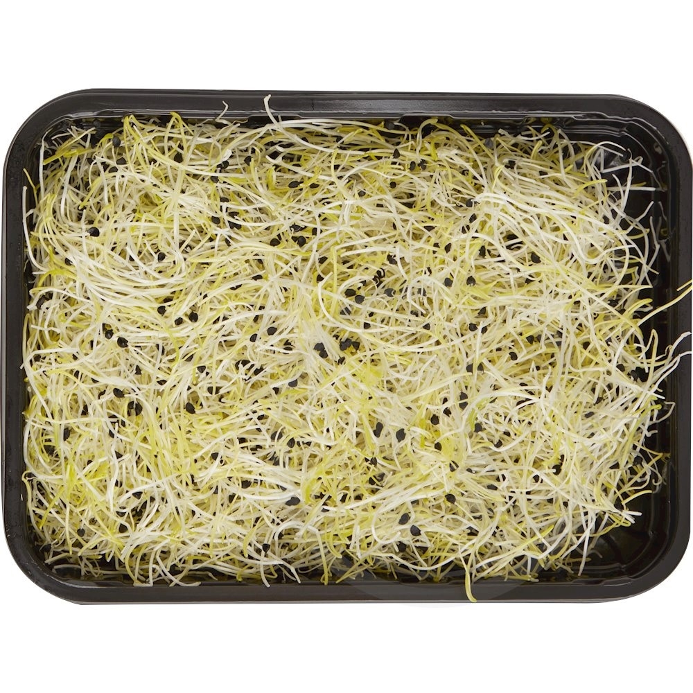 Porrespirer økologisk