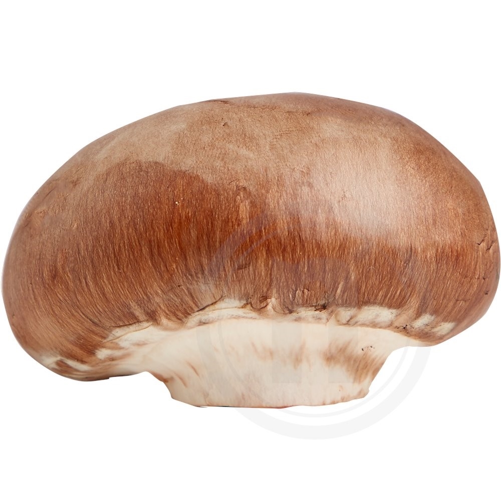 Portobello Mini Øko