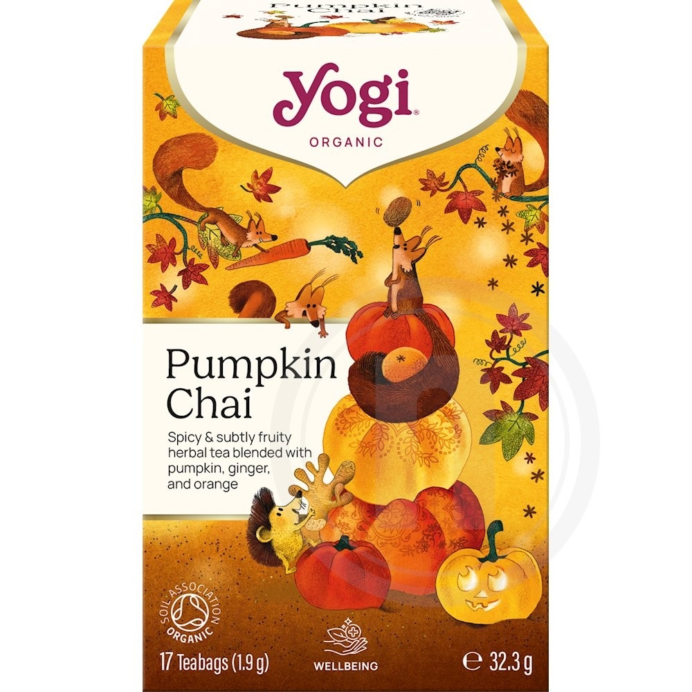 Pumpkin Chai te øko.