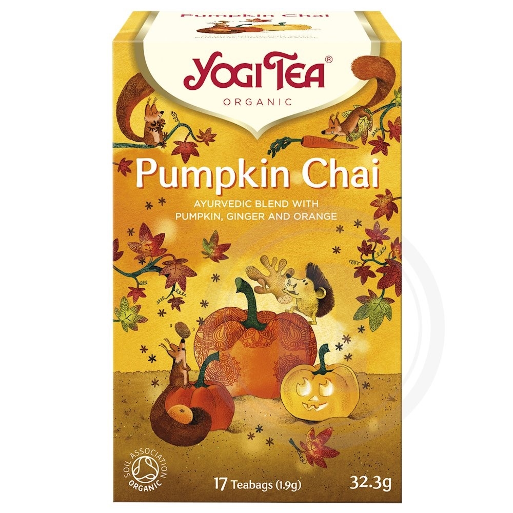 Pumpkin Chai te øko.