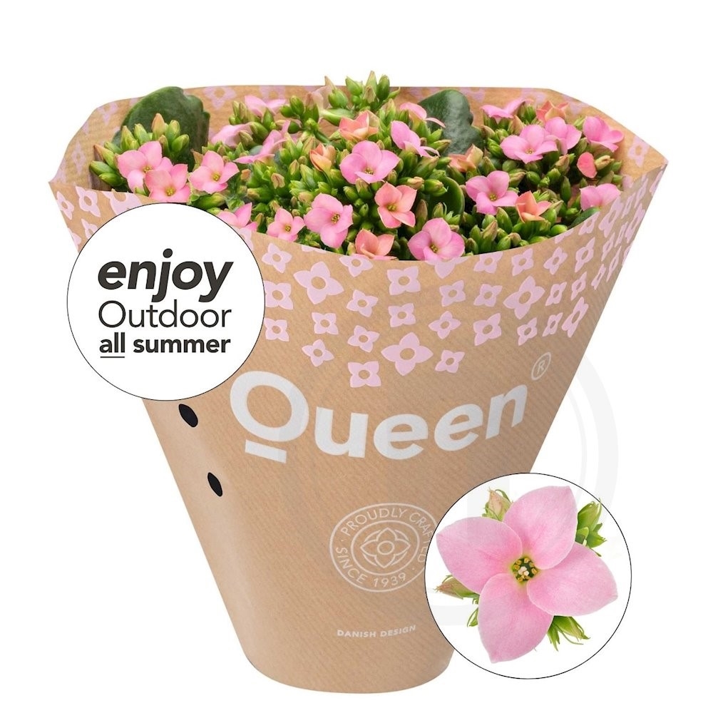 Queen® Outdoor Kendall 10,5 cm