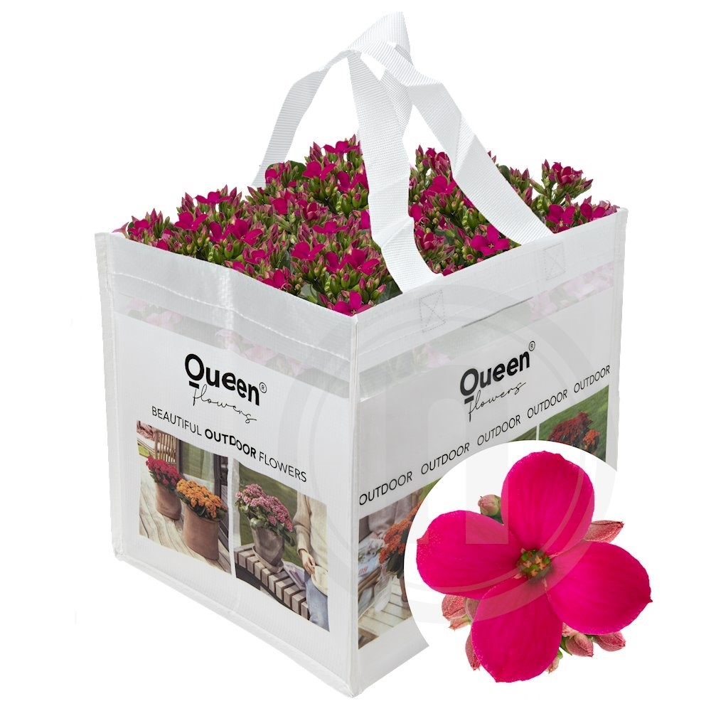 Queen® Outdoor "Tess"