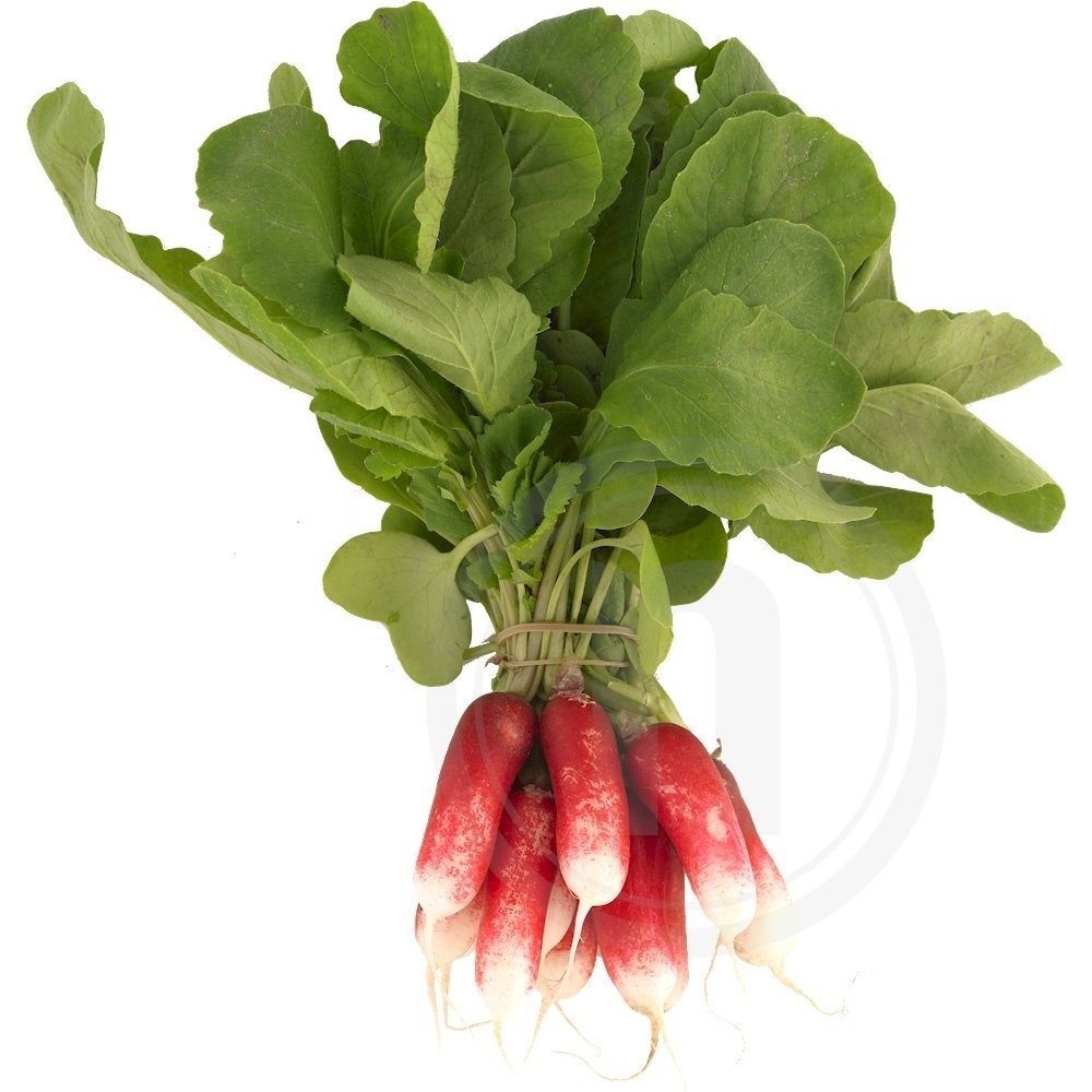 Radiser aflange m/top 1 bdt.