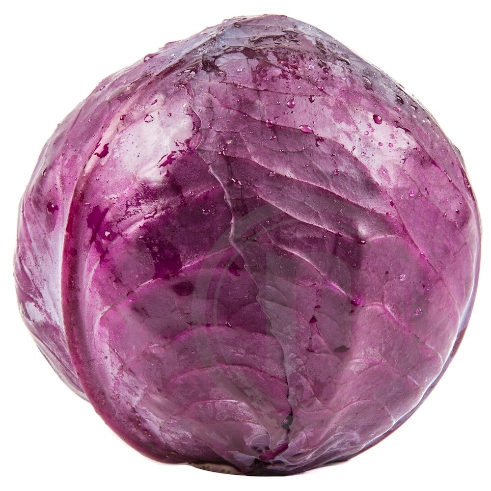 Rødkål øko.