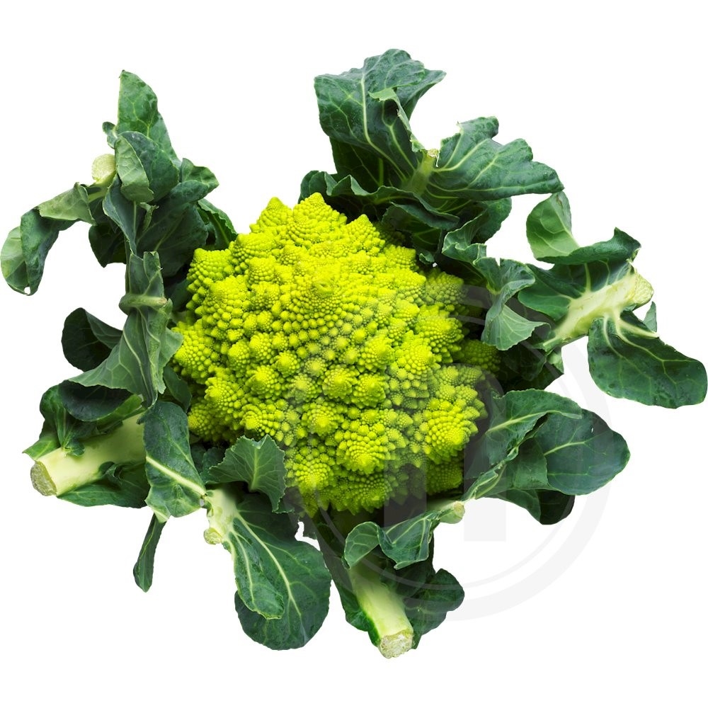 Romanesco