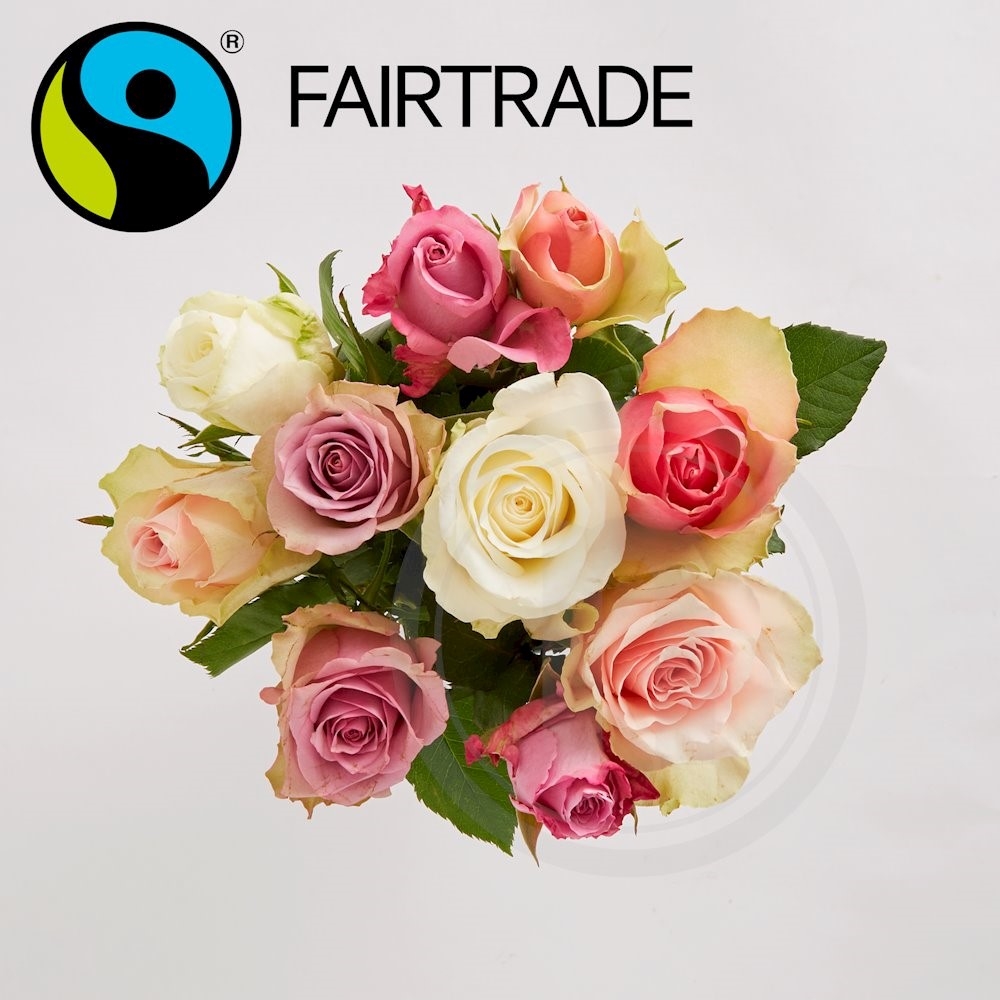 Roser Pastel mix - Fairtrade