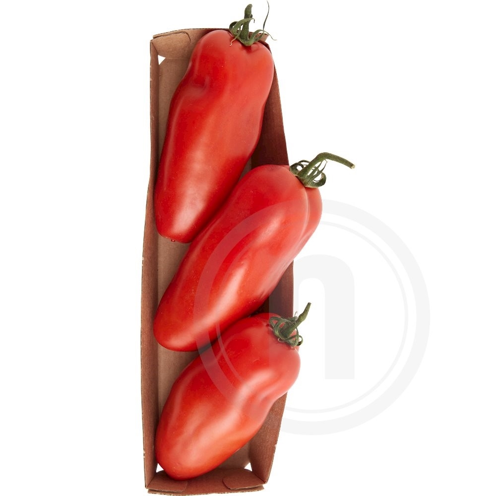 San Marzano Store Tomater