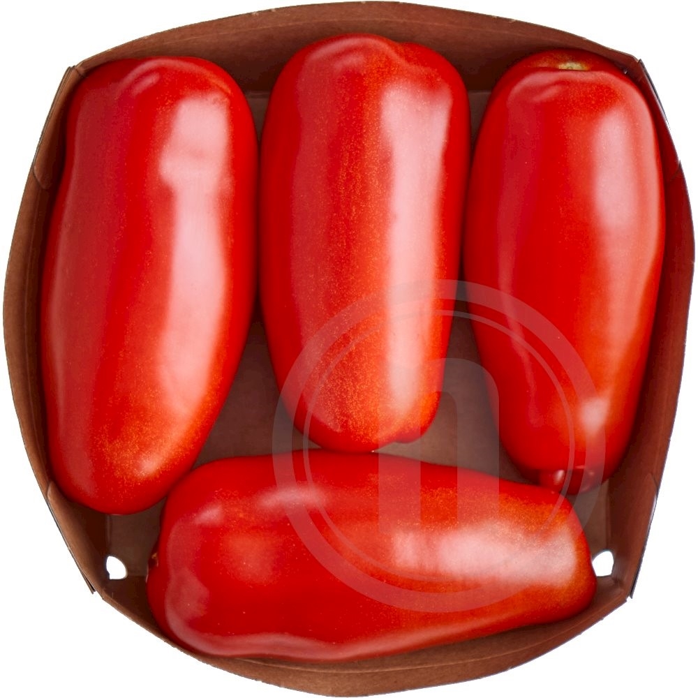 San Marzano tomater store øko.