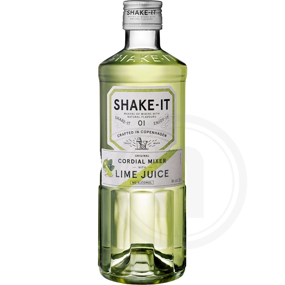 ShakeIt Mixer lime fra ShakeIt Leveret med