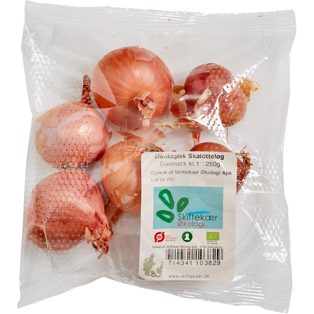 Skalotteløg Øko.